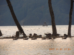 DSCN9972.JPG