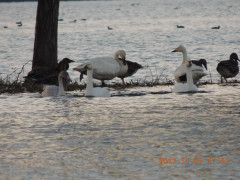 DSCN9974.JPG
