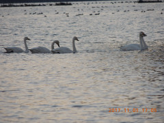 DSCN9977.JPG