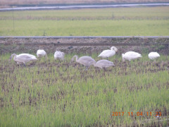 DSCN9987.JPG