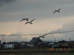 DSCN0003.JPG