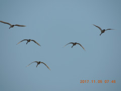 DSCN9990.JPG