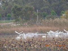 DSCN0013.JPG
