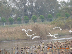 DSCN0014.JPG