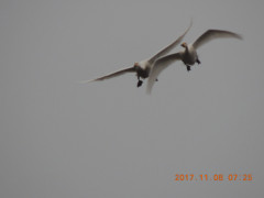 DSCN9982.JPG