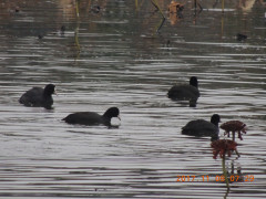 DSCN9985.JPG