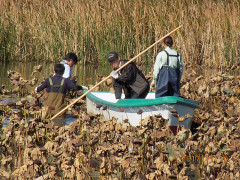 DSCN9598.JPG