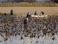 DSCN9607.JPG