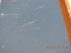 DSCN9614.JPG