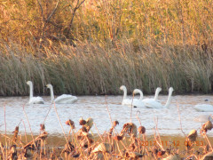 DSCN9966.JPG