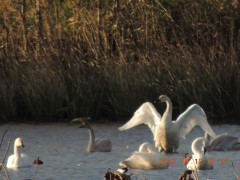 DSCN9977.JPG