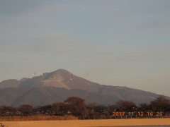 DSCN9982.JPG