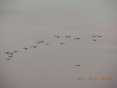 DSCN9993.JPG