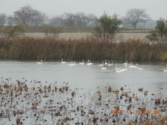 DSCN9985.JPG