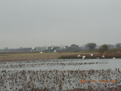 DSCN9990.JPG