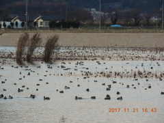 DSCN9976.JPG