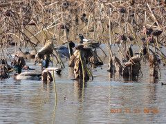 DSCN9961.JPG