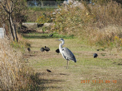 DSCN9965.JPG