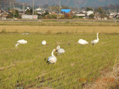 DSCN9967.JPG