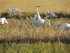 DSCN9971.JPG