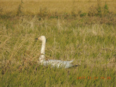 DSCN9966.JPG
