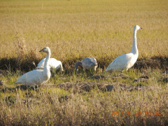 DSCN9970.JPG