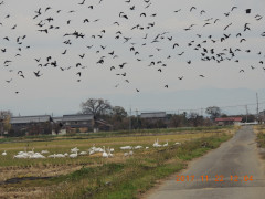 DSCN0010.JPG