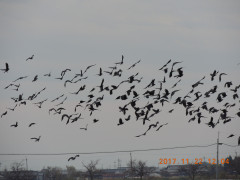 DSCN0006.JPG