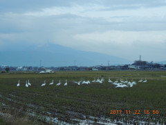 DSCN0016.JPG