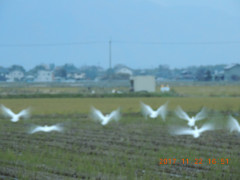 DSCN0019.JPG