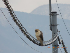 DSCN9982.JPG