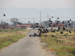 DSCN0005.JPG
