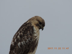 DSCN9985.JPG
