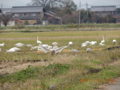 DSCN9997.JPG
