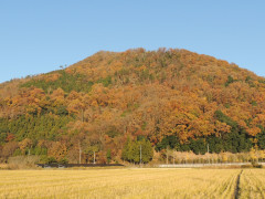 RSCN9998.JPG