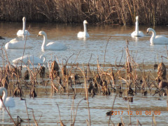 DSCN0003.JPG