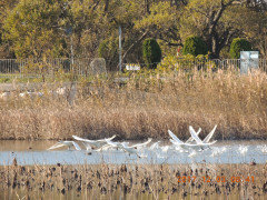 DSCN0019.JPG