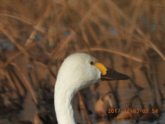 DSCN2506.JPG