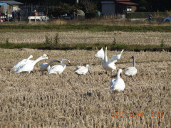 DSCN2661.JPG