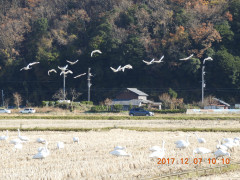 DSCN2680.JPG