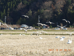 DSCN2682.JPG