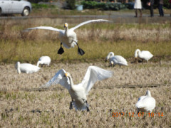 DSCN2689.JPG