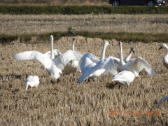 DSCN2698.JPG