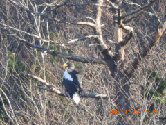 DSCN2713.JPG