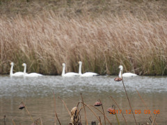 DSCN2809.JPG