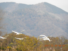 DSCN2814.JPG