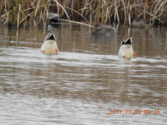 DSCN2854.JPG