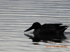DSCN2884.JPG
