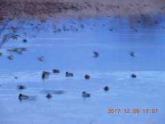 DSCN2894.JPG