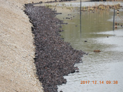 DSCN2906.JPG